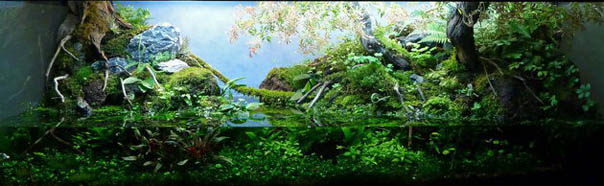 Paludarium