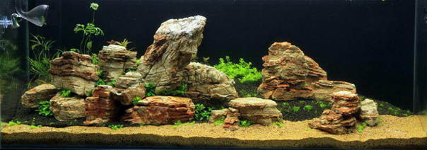 Aquascape