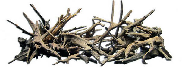 Driftwood