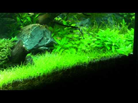 Video auf YouTube